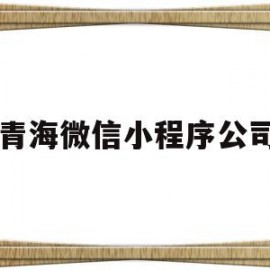 青海微信小程序公司(青海微信小程序公司地址)