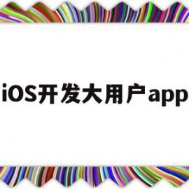 iOS开发大用户app(开发ios app用什么软件)