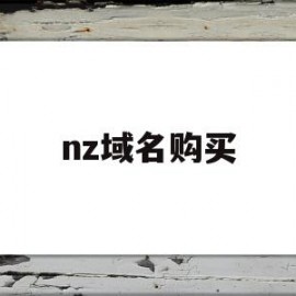 nz域名购买(域名购买平台网站)