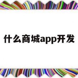 什么商城app开发(云尚商城APP开发公司)