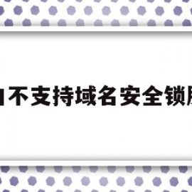 接口不支持域名安全锁服务的简单介绍