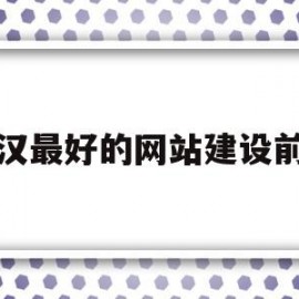 武汉最好的网站建设前十(武汉网站建设解决方案)