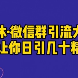 微信群引流大全，一招让你日引几十精准粉