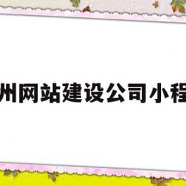 广州网站建设公司小程序(广州网站建设公司小程序有哪些)