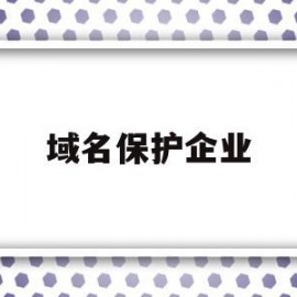 域名保护企业(域名保护企业名单)