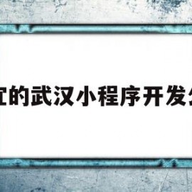 便宜的武汉小程序开发公司(武汉微信小程序开发公司哪家好?)