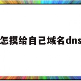 怎摸给自己域名dns(dns域名查询的两种方式)