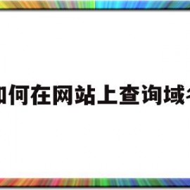 如何在网站上查询域名(如何在网站上查询域名地址)