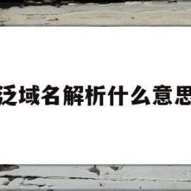 泛域名解析什么意思(域名解析包括泛域名解析)