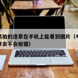 电子抓拍的违章在手机上能看到图片（电子抓拍违章会不会拍错）