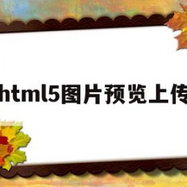 html5图片预览上传(html5 上传图片)