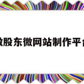 关于微股东微网站制作平台的信息