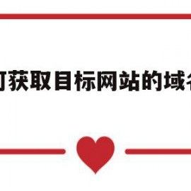 如何获取目标网站的域名权限(如何获取目标网站的域名权限设置)