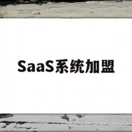 SaaS系统加盟(saas 公司)