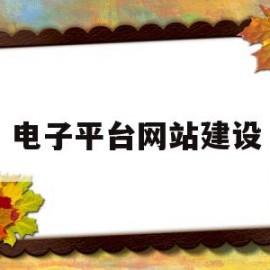 电子平台网站建设(电子政务网站建设的过程主要有哪四个方面的基本工作)