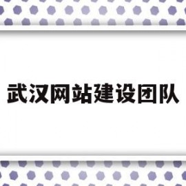 武汉网站建设团队(武汉网站建设团队招聘)