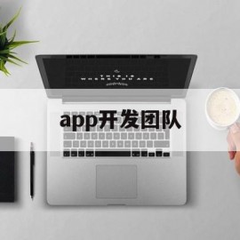 app开发团队(app开发团队核心竞争力是什么)