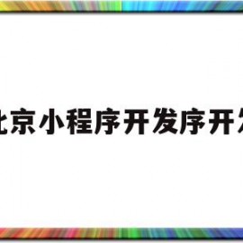 北京小程序开发序开发(北京小程序 app开发公司)