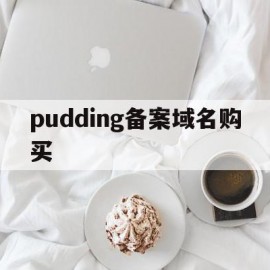 pudding备案域名购买(备案域名抢注平台)