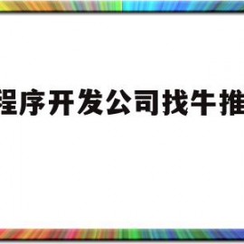 小程序开发公司找牛推网j_的简单介绍