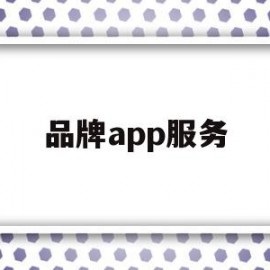 品牌app服务(品牌服务是什么意思)