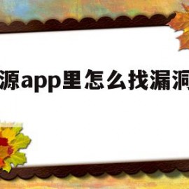 蜜源app里怎么找漏洞产品(蜜源app里怎么找漏洞产品呢)