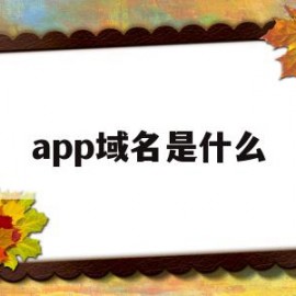 app域名是什么(app域名查询软件)