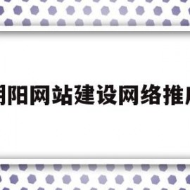 朝阳网站建设网络推广(朝阳网站建设网络推广有限公司)