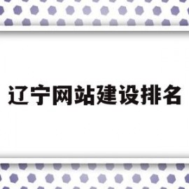 辽宁网站建设排名(辽宁省网联招标投标综合服务平台)