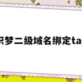 织梦二级域名绑定tag(织梦系统如何更换网站内容)