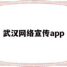 武汉网络宣传app(武汉网络推广有哪些公司)