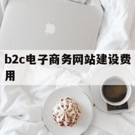 b2c电子商务网站建设费用(b2c电子商务网站建设费用高吗)