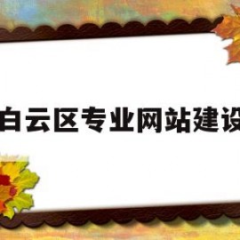 白云区专业网站建设(白云区建设工程研究和招投标管理中心)