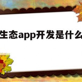 原生态app开发是什么意思(原生态app开发是什么意思呀)