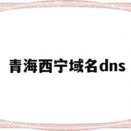 青海西宁域名dns(青海移动的dns地址是多少)