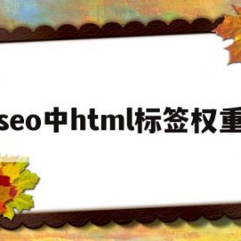 seo中html标签权重的简单介绍