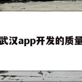 武汉app开发的质量(武汉app开发的质量如何)