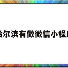 哈尔滨有做微信小程序(哈尔滨微信开发)