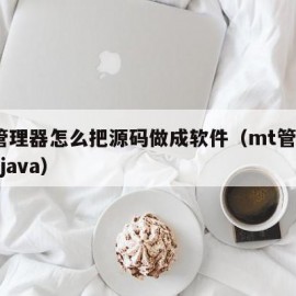 mt管理器怎么把源码做成软件（mt管理器转成java）