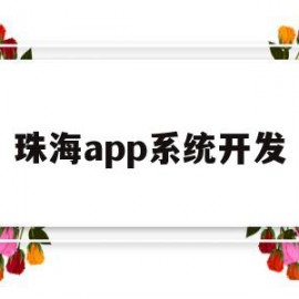 珠海app系统开发(珠海app系统开发招聘)