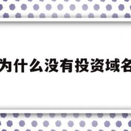 为什么没有投资域名(域名已经无投资价值了)