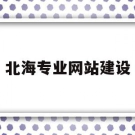 北海专业网站建设(北海网址)