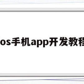 包含ios手机app开发教程的词条