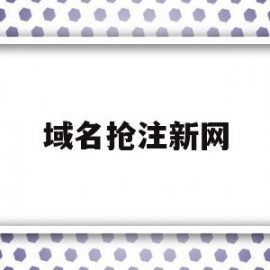 域名抢注新网(域名抢注案例视频)