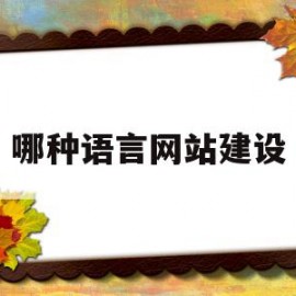 哪种语言网站建设(现在主流网站用什么语言做的)