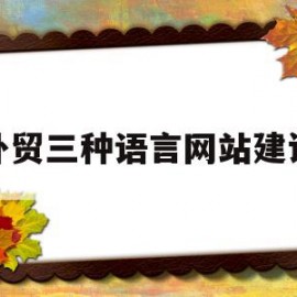 外贸三种语言网站建设(外贸 多语言 企业营销网站建站哪家好? 经验)