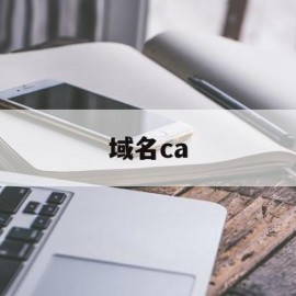 域名ca(域名查询网站入口)