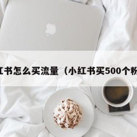 小红书怎么买流量（小红书买500个粉丝）