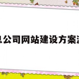 信息公司网站建设方案游戏的简单介绍