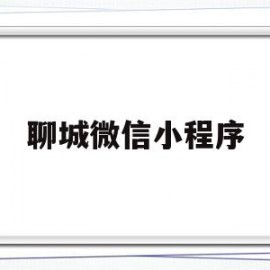 聊城微信小程序(聊城微社保app下载安装)